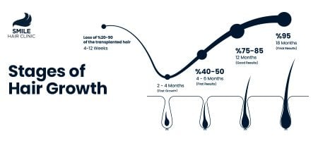 STAGES-OF-HAIR-GROWTH