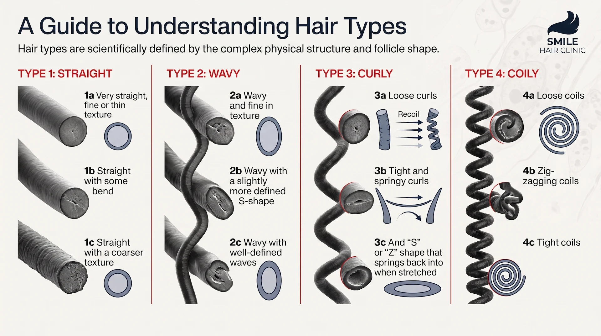 Hair Types: The Complete Guide to Identifying, Styling, and Caring for Every Hair Type 1 hair types (1)